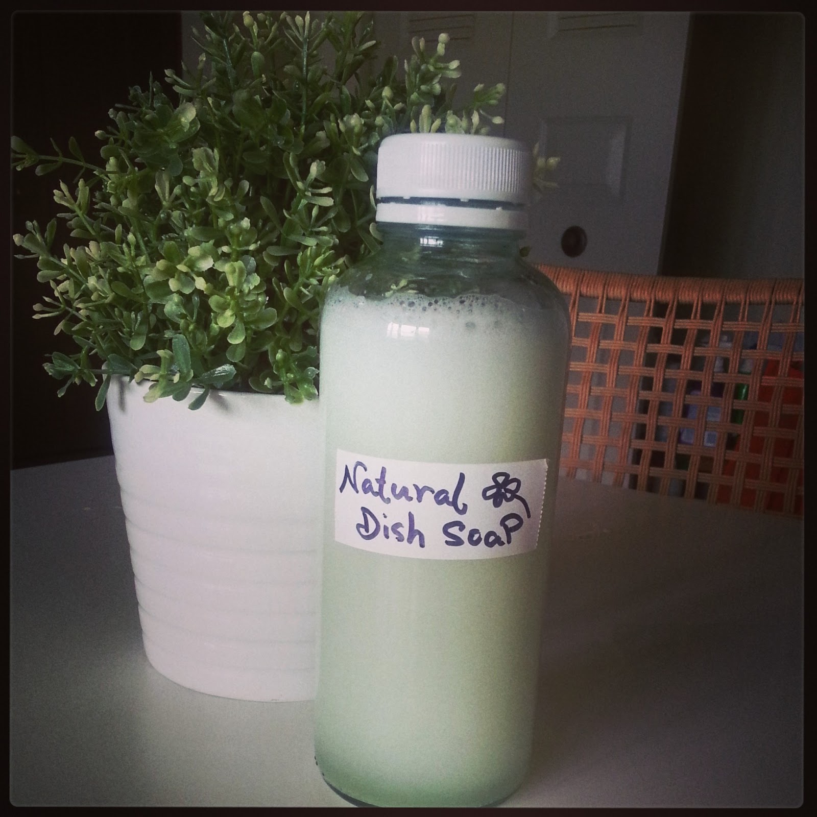 3004 Kitchen Back to Basic 天然洗潔精 Simple Homemade Natural Dish Soap